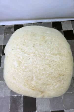 Wollvlies als Verbissschutz